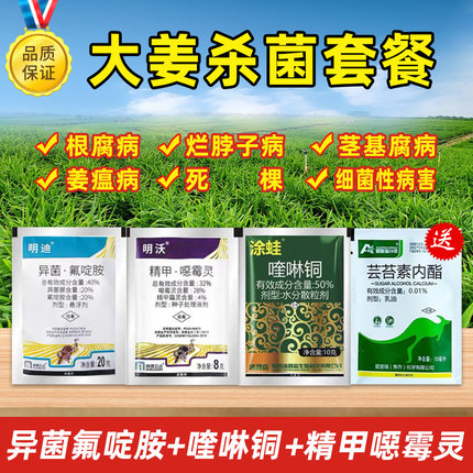 大姜专用药精甲恶霉灵异菌氟啶胺喹啉铜姜瘟病专用药生姜杀菌剂