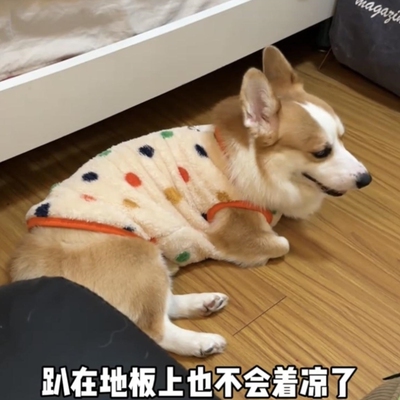 柯基狗狗衣服秋冬装可牵引加绒保暖可爱中大型犬柴犬法斗金毛绒衣