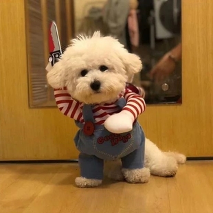 秋冬季宠物衣服比熊金毛狗狗猫咪搞怪博美柴犬柯基泰迪搞笑拿刀装