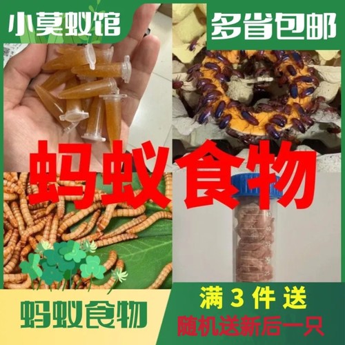 小莫蚁馆 蚂蚁食物 樱桃蟑螂 面包虫 虾干 蚂蚁果冻 蚂蚁饲料