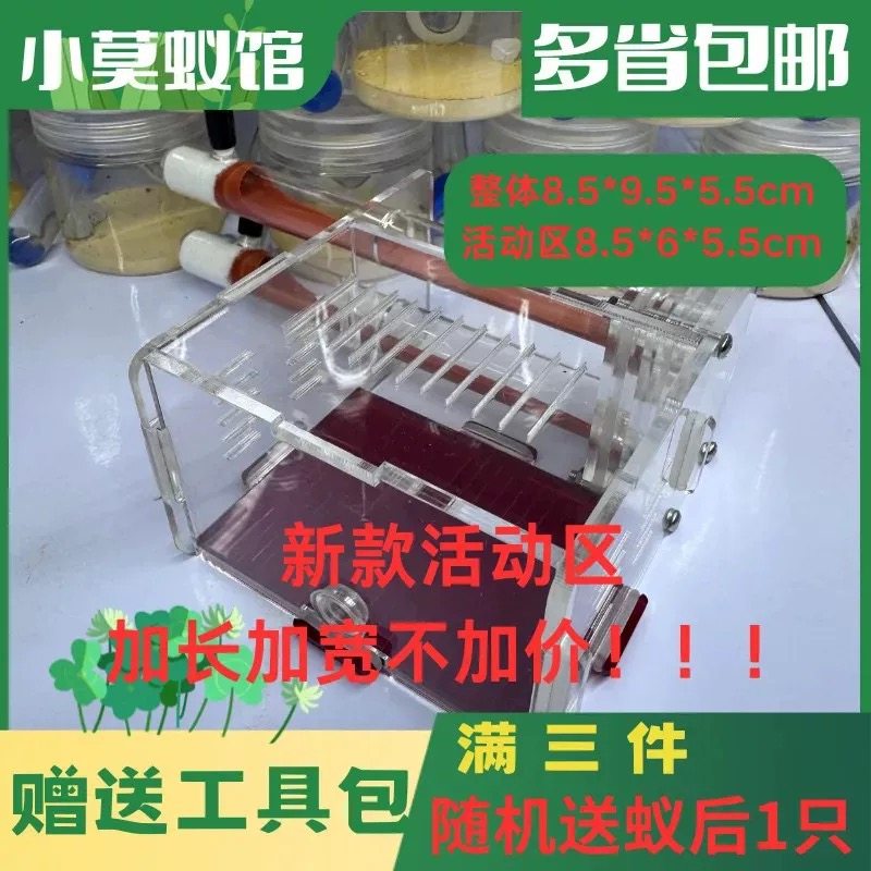 小莫蚁馆 双试管巢 亚克力石膏铺地巢活体蚂蚁宠物巢套餐送蚂蚁