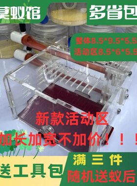 蚂蚁工坊蚁巢试管巢别墅