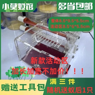 小莫蚁馆 亚克力石膏铺地巢活体蚂蚁宠物巢套餐送蚂蚁 双试管巢