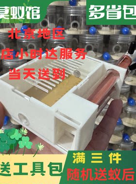 小莫蚁馆 免组装双试管巢 蚂蚁宠物巢 蚂蚁工坊城堡 套餐送蚂蚁