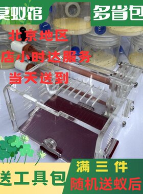 小莫蚁馆 双试管巢 亚克力石膏铺地巢 蚂蚁宠物巢 套餐送蚁后