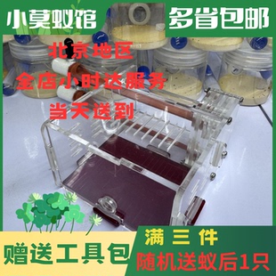 小莫蚁馆 双试管巢 亚克力石膏铺地巢 蚂蚁宠物巢 套餐送蚁后