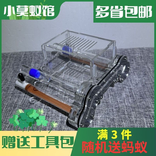 小莫蚁馆 亚克力坦克蚁巢石膏铺地试管巢蚂蚁工坊房盒子送工具包