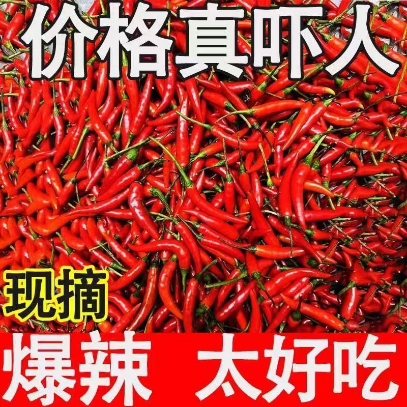 新鲜小米椒特辣小米辣鲜椒朝天椒红辣椒指天椒泡椒红辣椒产地直发