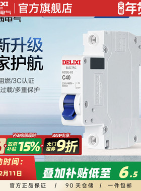 德力西1P40A空开单片单极单P40a空开家用c40空气开关单相单匹空开