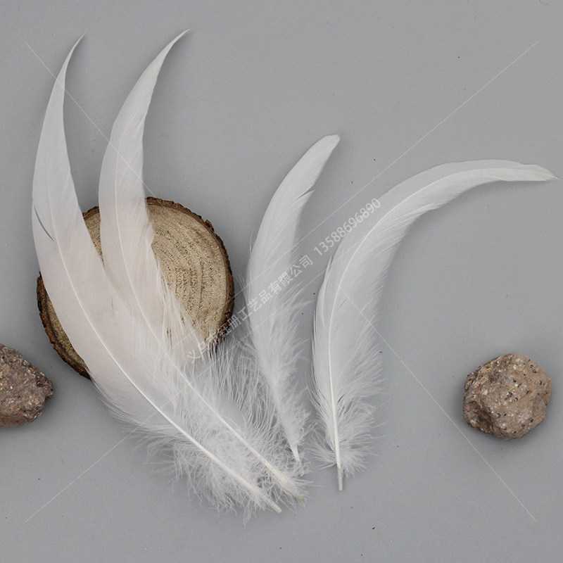 纯白公鸡尾漂白色鸡尾毛20253035cm长度都有天然羽毛工艺品配件