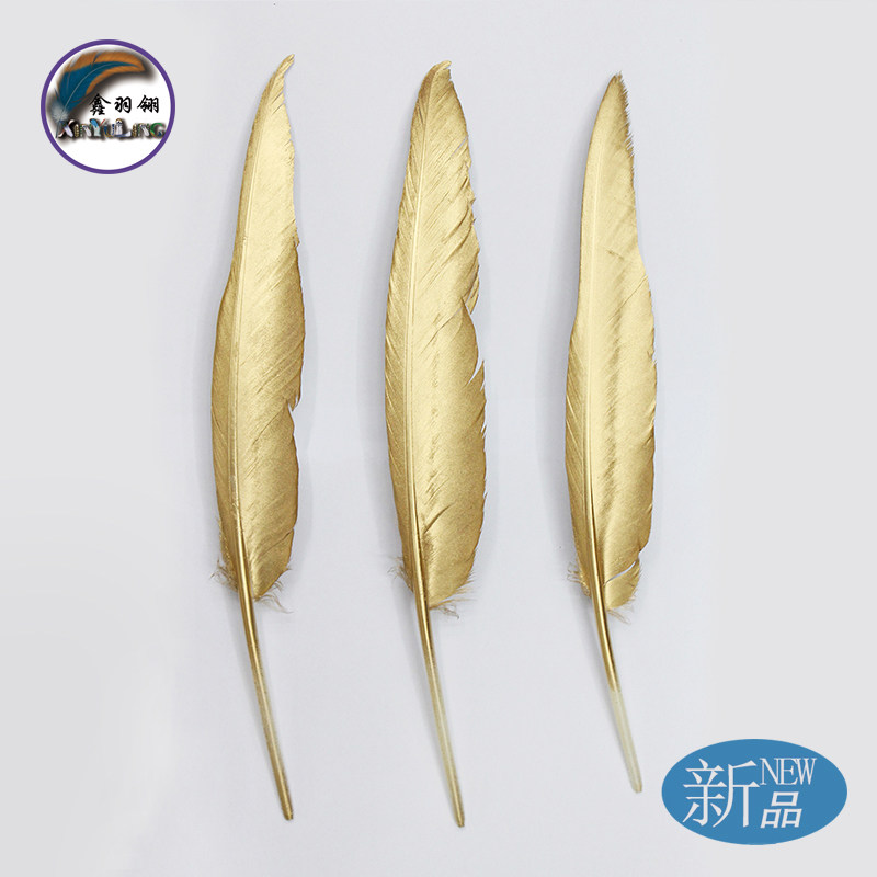 工艺品羽毛鑫羽翎羽毛