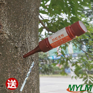 国光防蛀液剂树木体干蛀虫杀虫剂天牛树虫一插净钻心虫药大树心虫