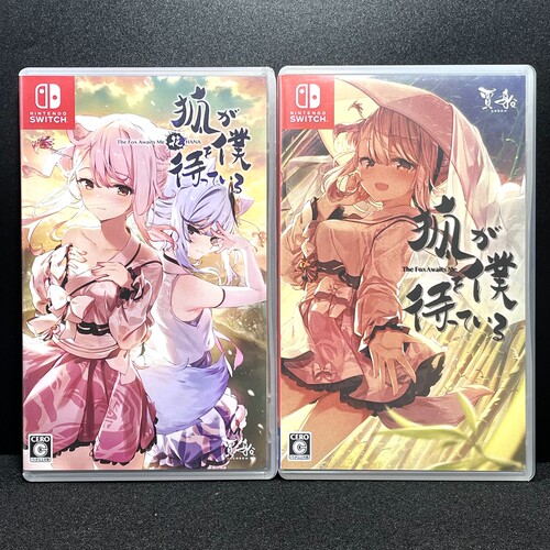 Switch ns国产包装盒 狐狸在等我 自印封面 没有卡带 空盒