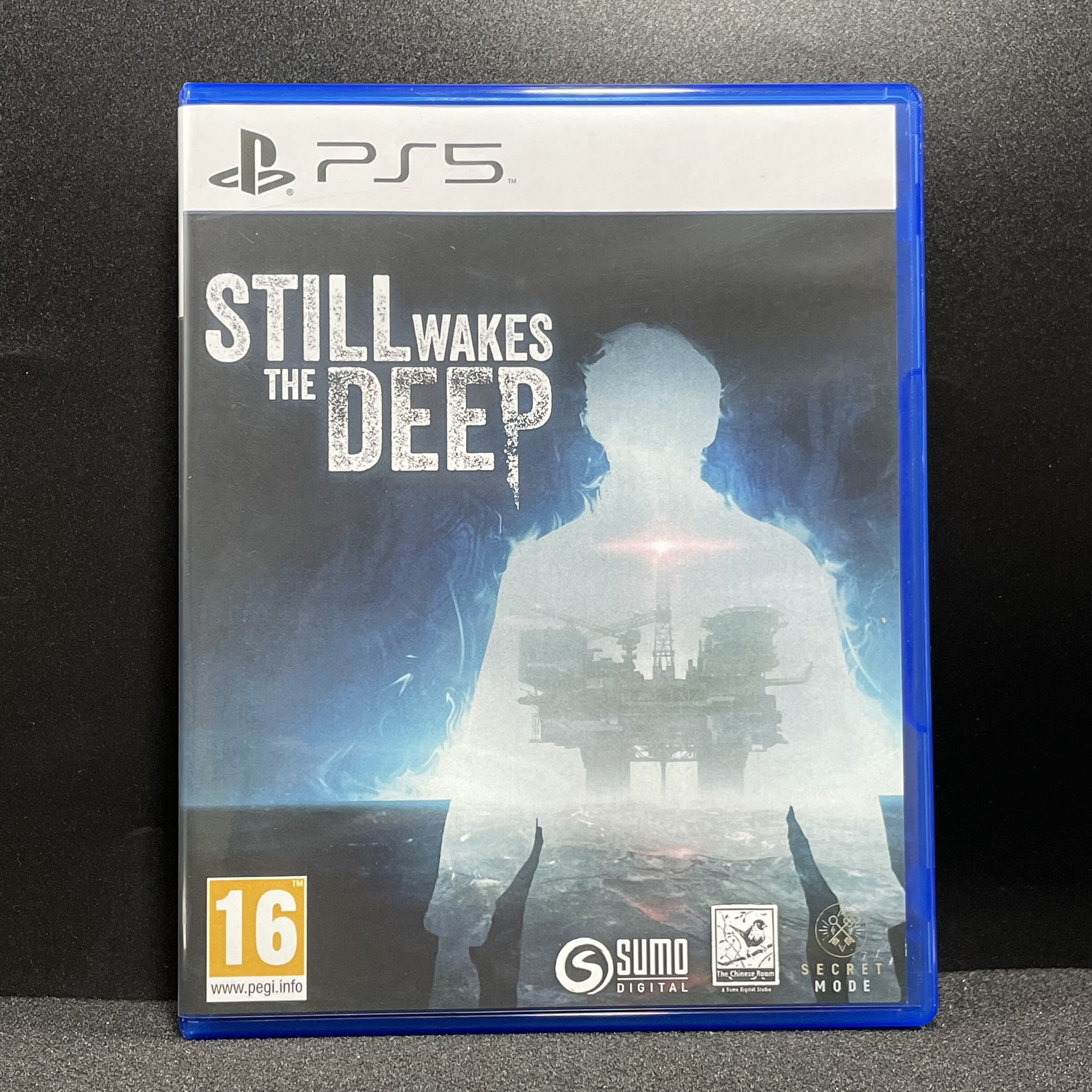 PS5国产空盒 觉醒深渊 Still Wakes the Deep 自印封面 没有光盘图片