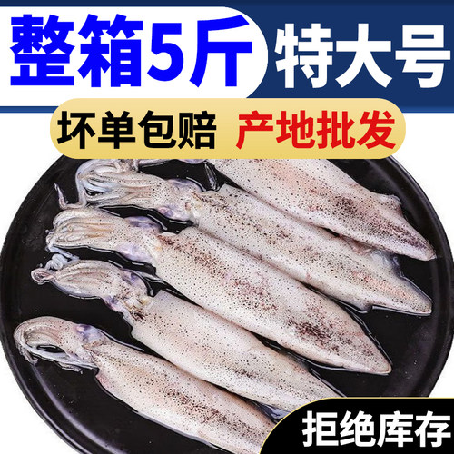 【当天捕捞】笔管鱼鲜活鱿鱼籽乌贼带籽新鲜海兔籽乌带籽小鱿鱼
