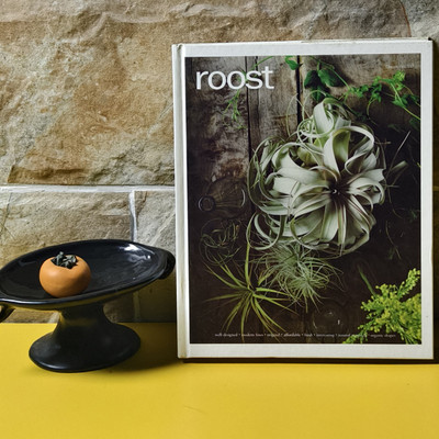 【当天发】 【官方原版全新塑封当天发货】ROOST11 进口软装书籍