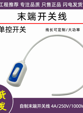 两线芯电路电源控制线1000W大功率排气扇吊扇台灯床头开关线白色