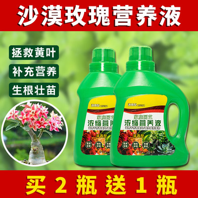 沙漠玫瑰营养液专用肥料沙漠玫瑰营养液花肥盆栽绿植水培植花卉通