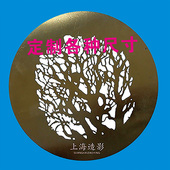 聚光筒插片定制光学摄影棚艺术造型闪光LED成像灯投影灯图形片