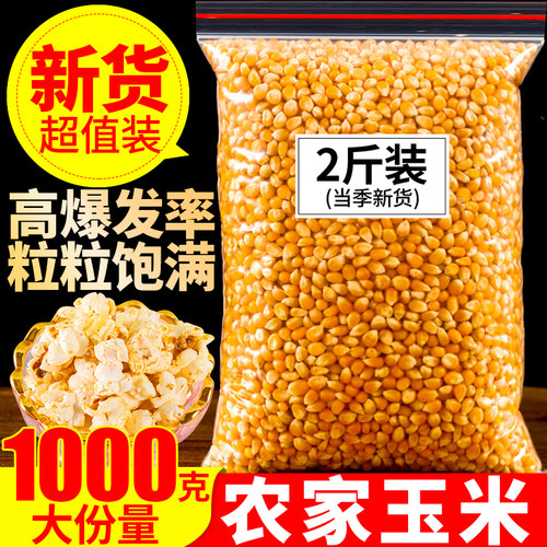 爆米花玉米大份量1000克高爆发率