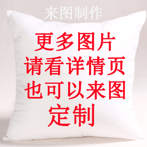 来图定制抱枕二次元动漫创意周边沙发靠垫送同学生日毕业礼物靠枕 - 封面