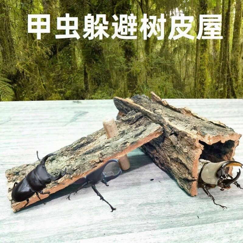 甲虫树皮屋昆虫躲避木皮独角仙楸甲虫爬宠躲避屋造景装饰用品