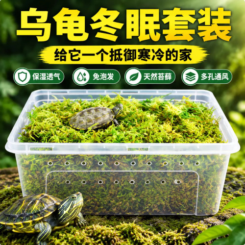乌龟过冬装备冬眠用品爬宠椰土寄居蟹饲养箱巴西龟椰砖套装保温箱