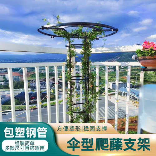 伞形花架包塑钢管支撑杆户外庭院钢管置物架室外花园植物爬藤架子