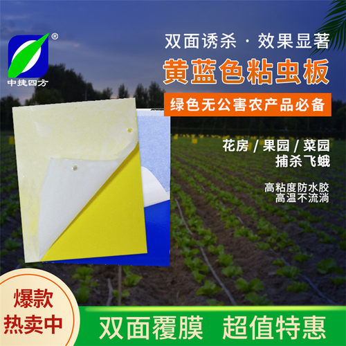 昆虫信息素性诱剂黄板信息素小飞虫蓝色粘虫板有效诱捕粉虱蚜虫