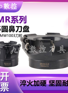EMR/TRS圆鼻刀盘/面铣刀盘数控刀柄bt40铣刀盘R5刀盘R6飞刀盘刀柄
