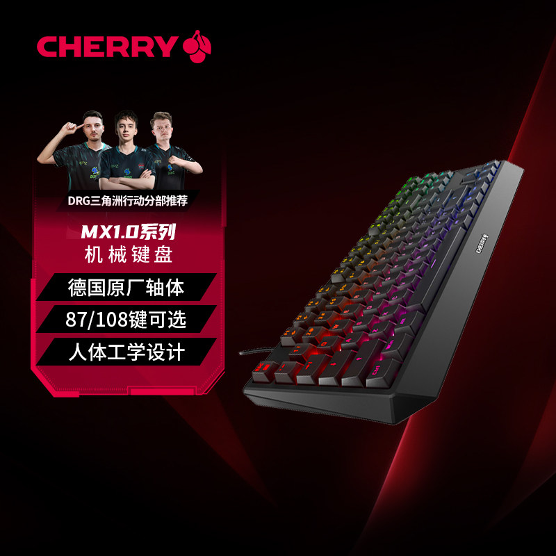 CHERRY樱桃MX1.0经典机械键盘有线电竞游戏办公茶青红黑轴键盘