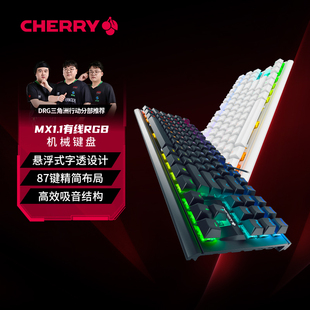 CHERRY樱桃MX1.1有线机械键盘黑曜雪原极光RGB电竞游戏87键红茶轴