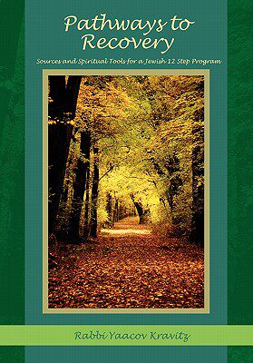 【预售】Pathways to Recovery: Sources and Spiritual Tools