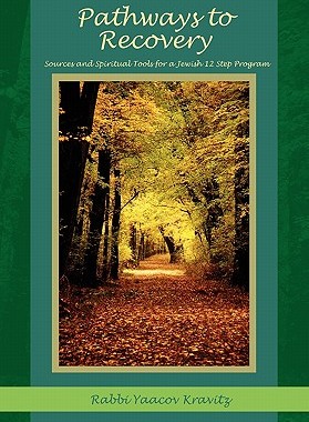 【预售】Pathways to Recovery: Sources and Spiritual Tools