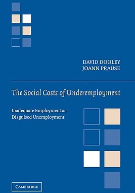 【预售】The Social Costs of Underemployment: Inadequate