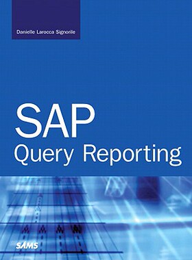 【预售】SAP Query Reporting