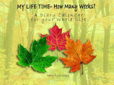 【预售】My Life Time- How Many Weeks?: A Diary Calendar for