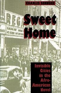 【预售】Sweet Home: Invisible Cities in the Afro-American