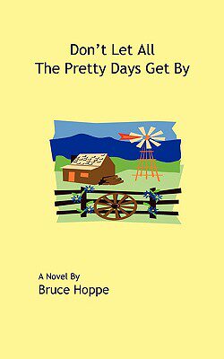 【预售】Don't Let All the Pretty Days Get by