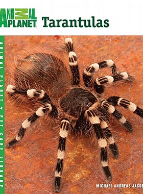 【预售】Tarantulas