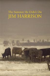 Summer The Didn Die 预售