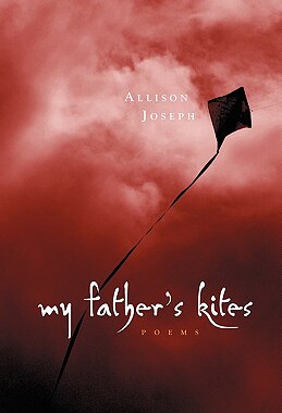 【预售】My Father's Kites