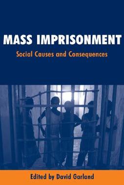 【预售】Mass Imprisonment: Social Causes and Consequences