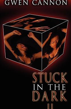 【预售】Stuck in the Dark II