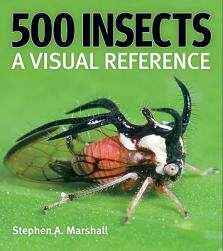【预售】500 Insects: A Visual Reference