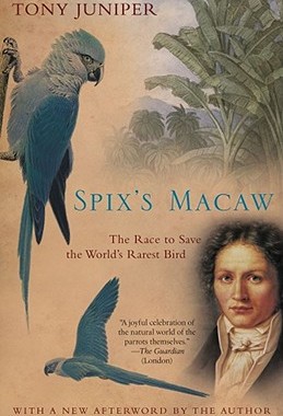 【预售】Spix's Macaw: The Race to Save the World's Rarest