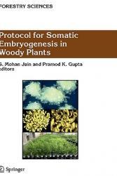 【预售】Protocol for Somatic Embryogenesis in Woody Plants