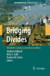 【预售】Bridging Divides