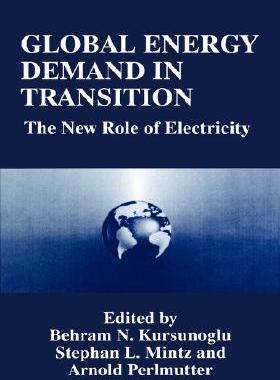 【预售】Global Energy Demand in Transition: The New Role of