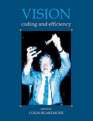 【预售】Vision: Coding and Efficiency